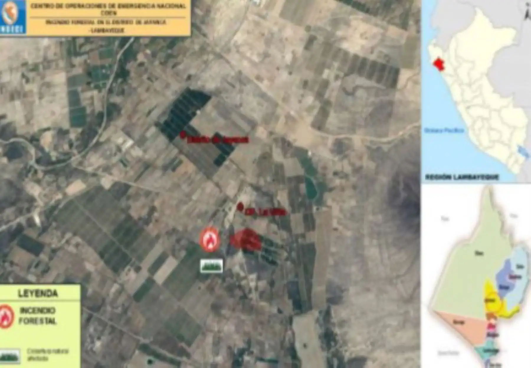 Bomberos, personal municipal y pobladores controlan incendio forestal en el distrito de Jayanca, región Lambayeque, informó la Dirección Desconcentrada del Indeci.