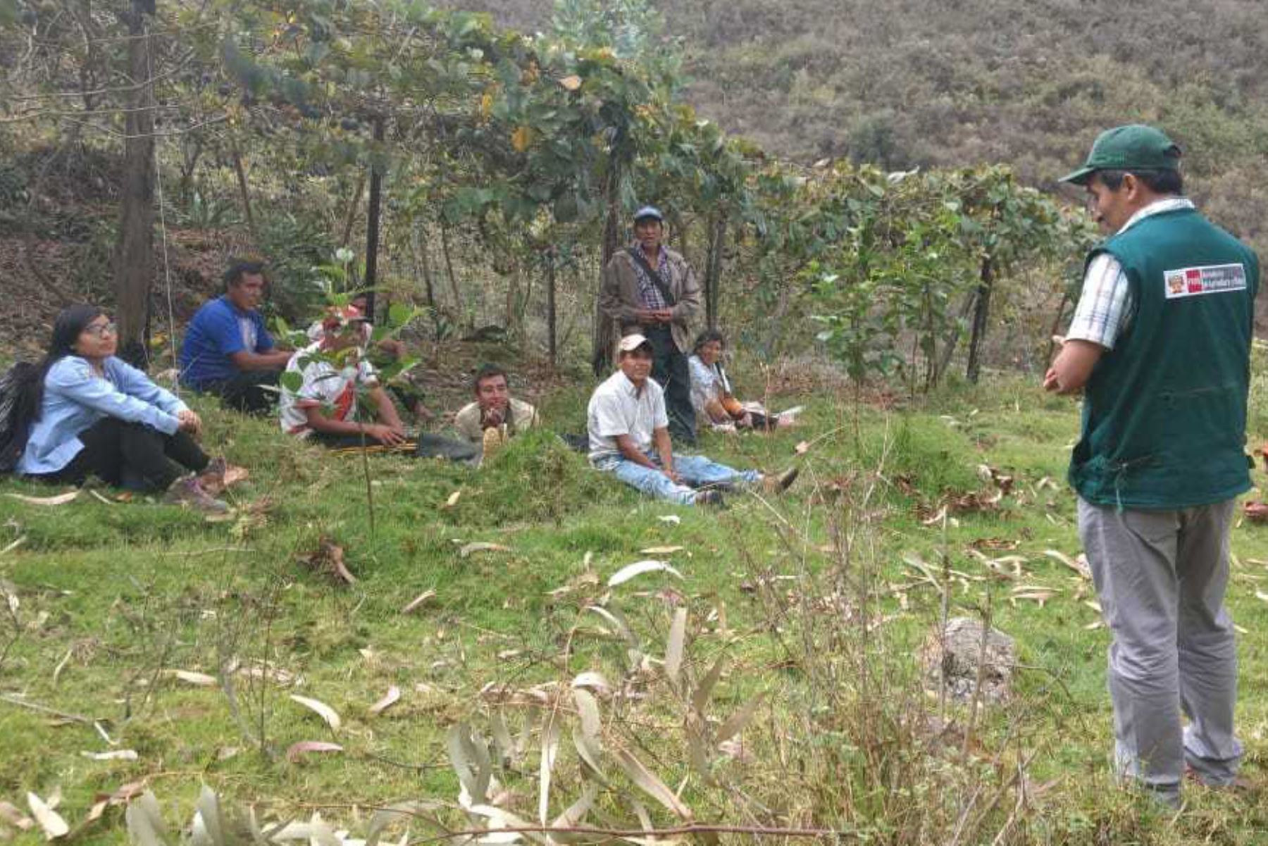 Alrededor de 150 productores de durazno y granadilla del distrito Santa María del Valle, participarán en talleres gratuitos de capacitación con la finalidad de ampliar sus conocimientos en el uso del guano de las islas y el manejo de riego tecnificado para mejorar su producción.