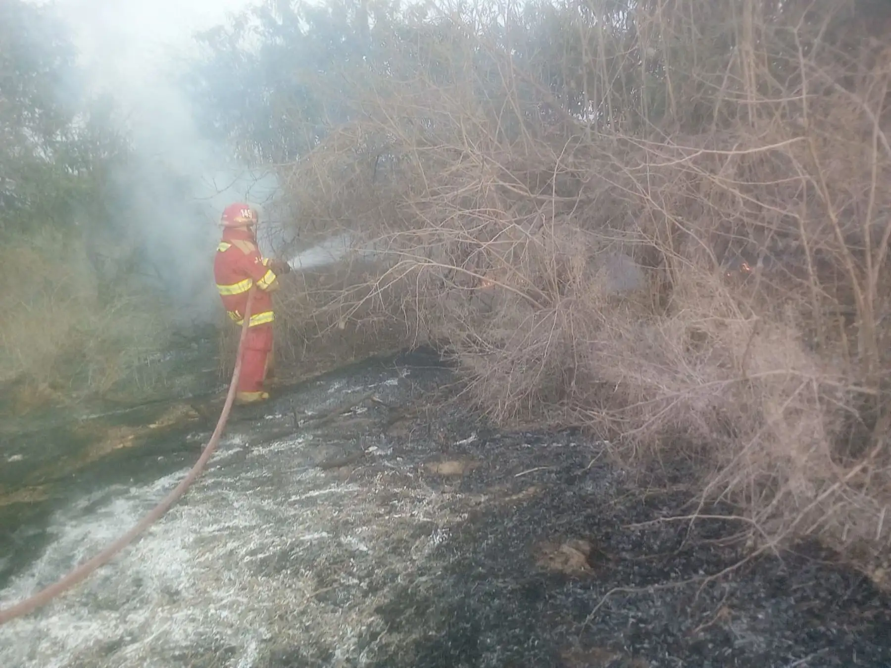 Un incendio forestal se reportó esta tarde en el sector Templón-Tres Cerritos, en el distrito de Salas, informó la Oficina Desconcentrada del Instituto Nacional de Defensa Civil (Indeci).