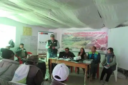 A fin de conocer estrategias que permitan su fácil acceso a mercados locales, más de 40 socios de la red empresarial en lácteos Virgen del Rosario Huacapunco, del distrito Colquepata, provincia cusqueña de Paucartambo, participaron en un taller de fortalecimiento de capacidades técnico productivas durante tres días consecutivos.