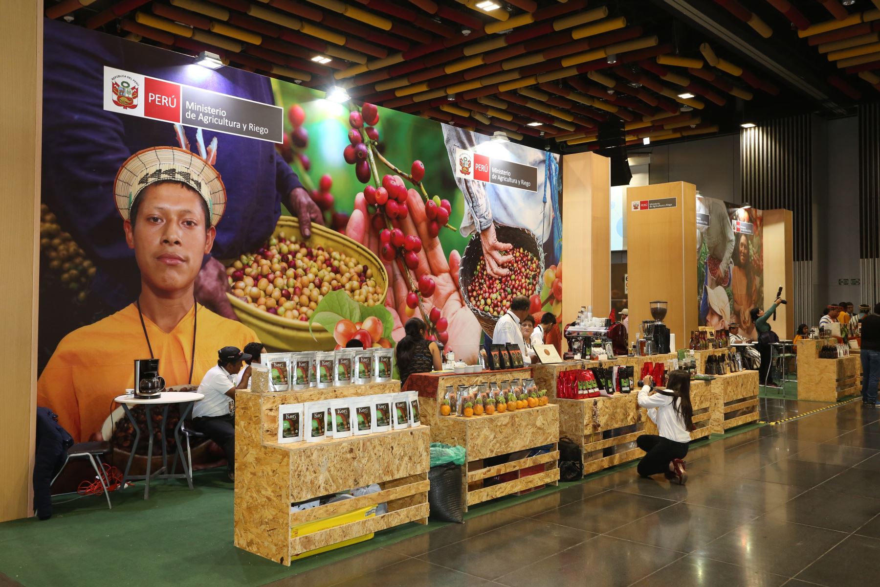 Cultivo del café  da trabajo a 223,000 familias de pequeños productores