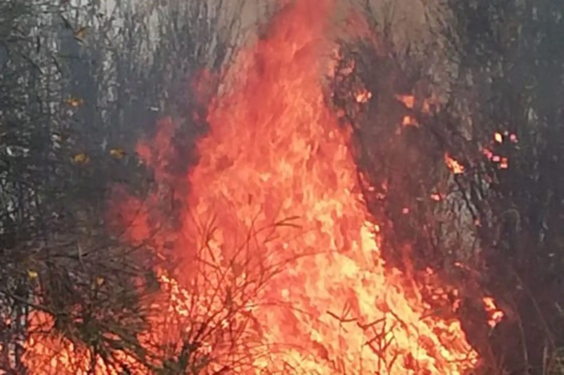 Esta tarde se reportó un incendio forestal en el distrito de Jangas, provincia de Huaraz,región Áncash.