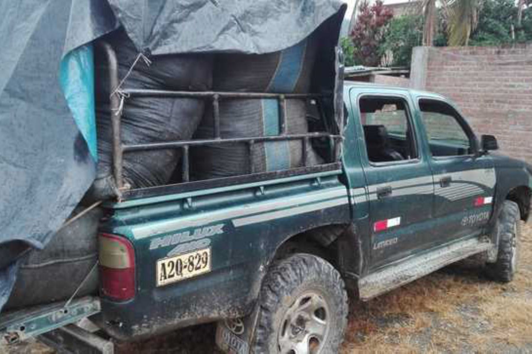 Decomisan más de 450 kilos de hoja de coca que era transportada en la tolva de una camioneta en la provincia de Huanta, región Ayacucho, en la zona del Vraem.