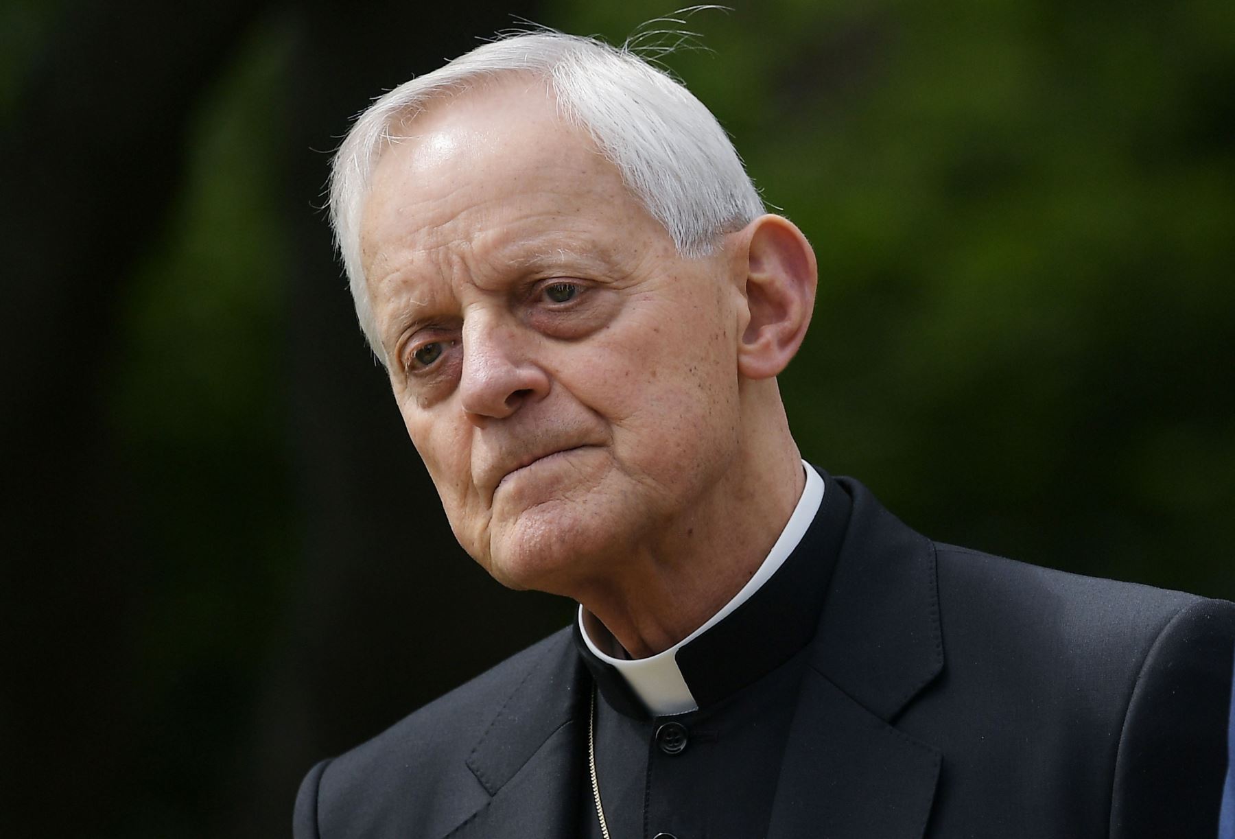 Arzobispo de Washington Donald Wuerl Foto: AFP