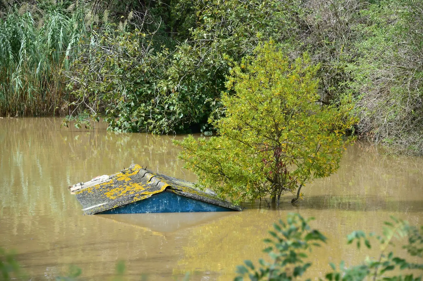 Aguas de la inundación envuelven la tierra y los edificios. AFP