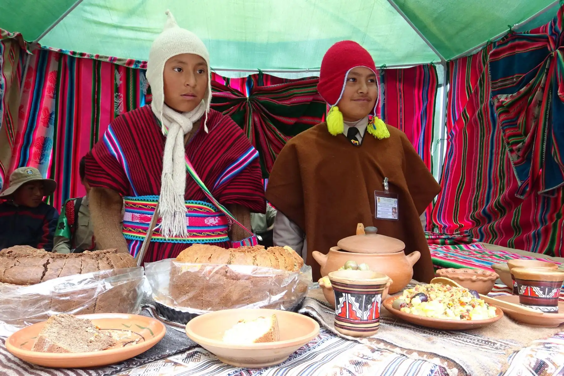 Escolares de Puno promueven el consumo de productos andinos. ANDINA