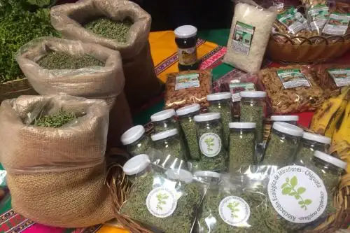 Distritos arequipeños dedican más de 50 hectáreas al cultivo de hierbas aromáticas orgánicas, como el orégano, tomillo y romero. La producción, en su mayoría, es exportada a Alemania.