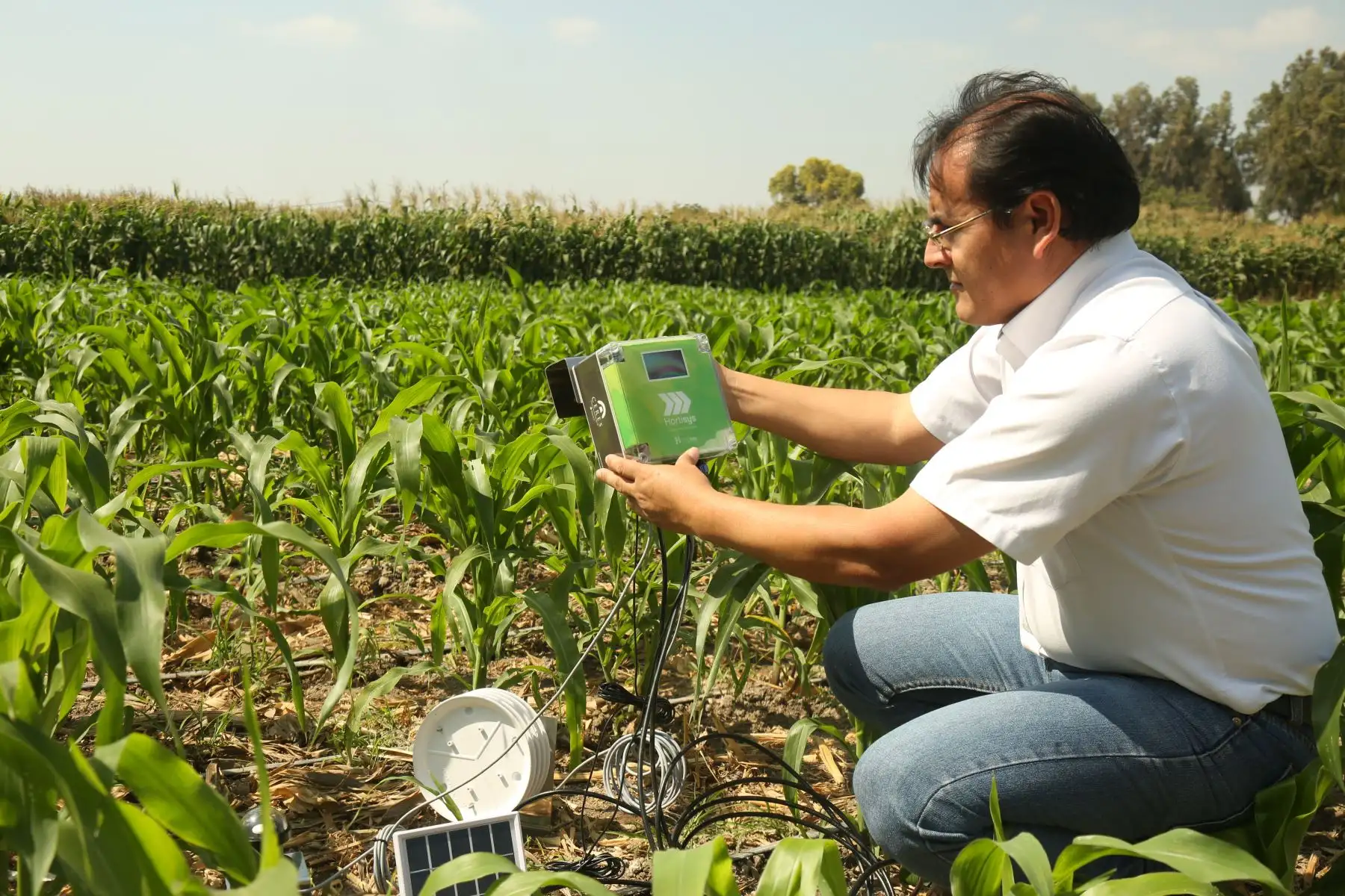 Especialistas del INIA utilizarán sensores remotos para  medir calidad de los suelos agrícolas de Lambayeque. ANDINA/Difusión