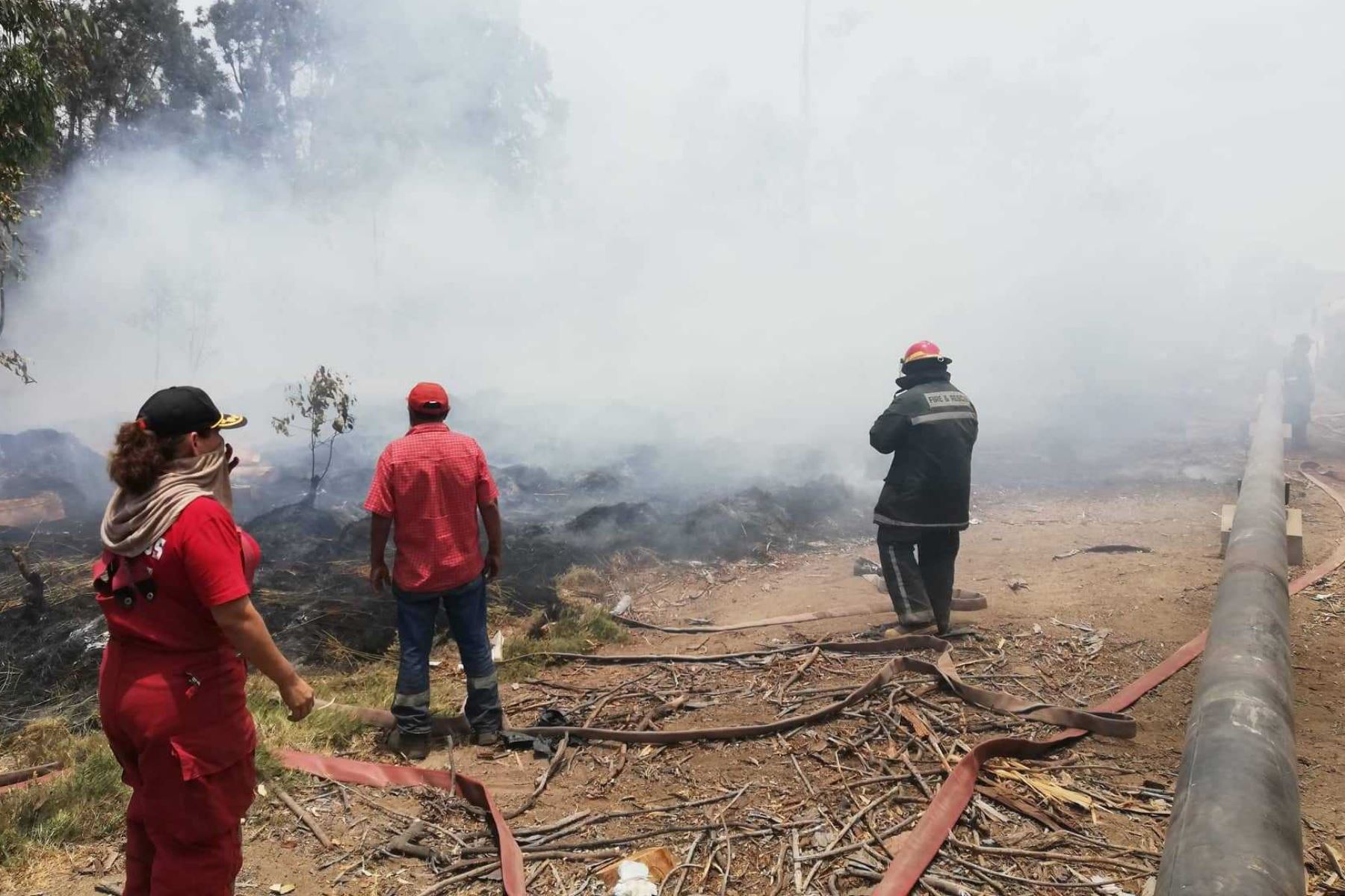 Esta mañana se reavivó el fuego en las áreas verdes del vivero forestal de Chimbote, luego que los Bomberos lucharan para tratar de controlarlo desde anoche.