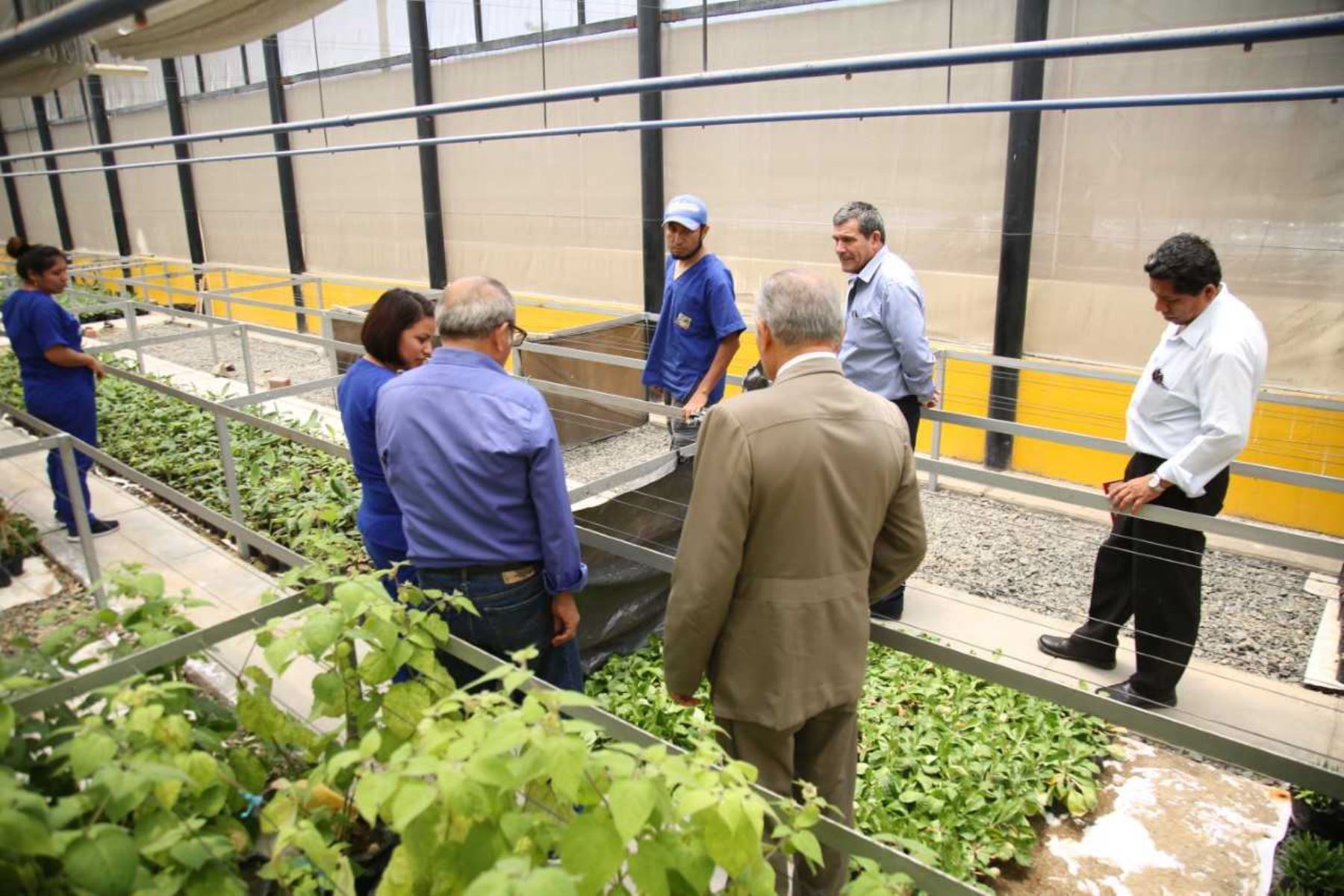 Alumnos de Ingeniería Agrónoma y Biotecnología harán sus prácticas en laboratorios de Chinecas.