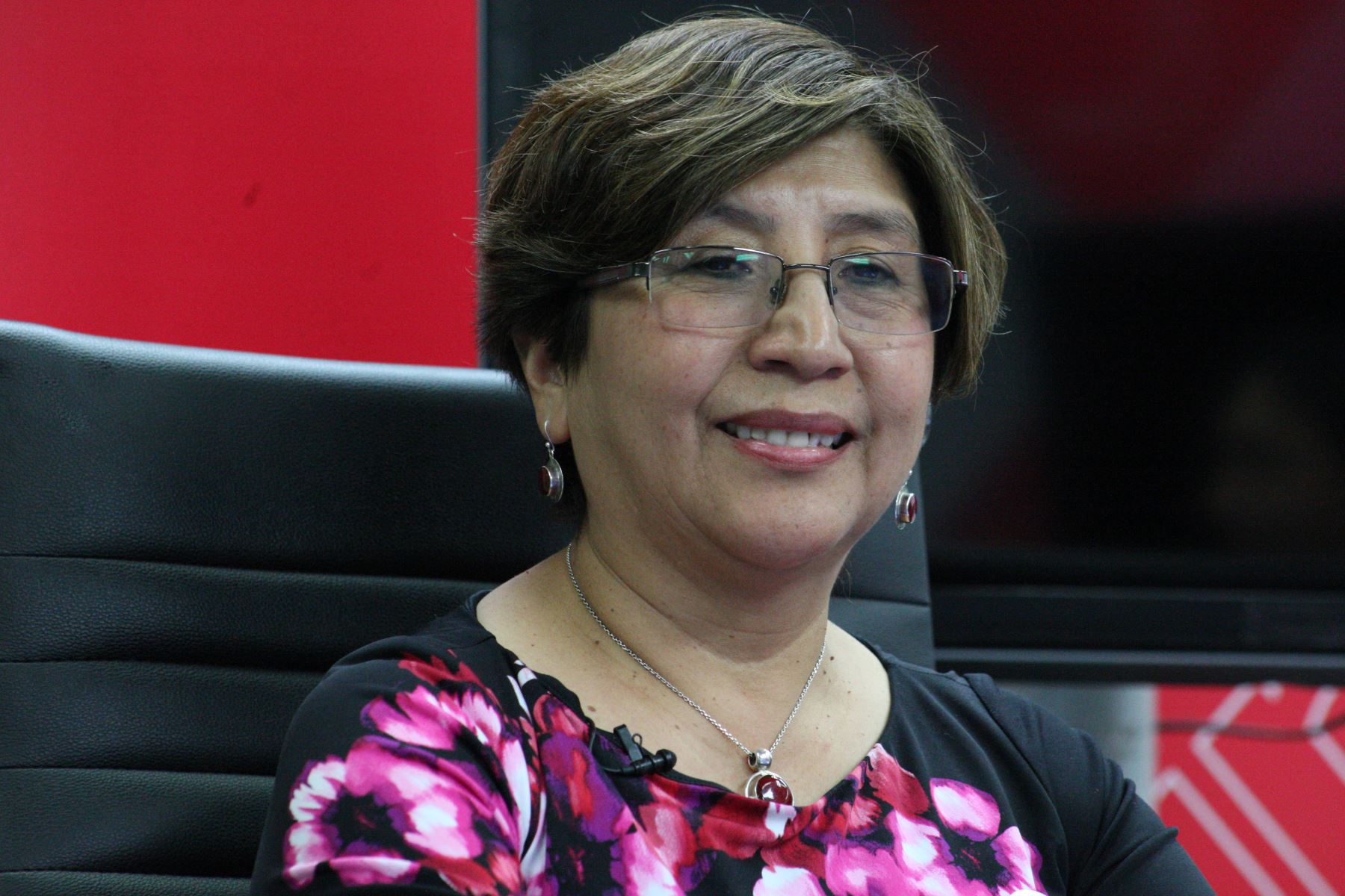 Coordinadora del Plan Multisectorial de Lucha contra la Anemia, Nelly HuamanÍ. ANDINA/Héctor Vinces