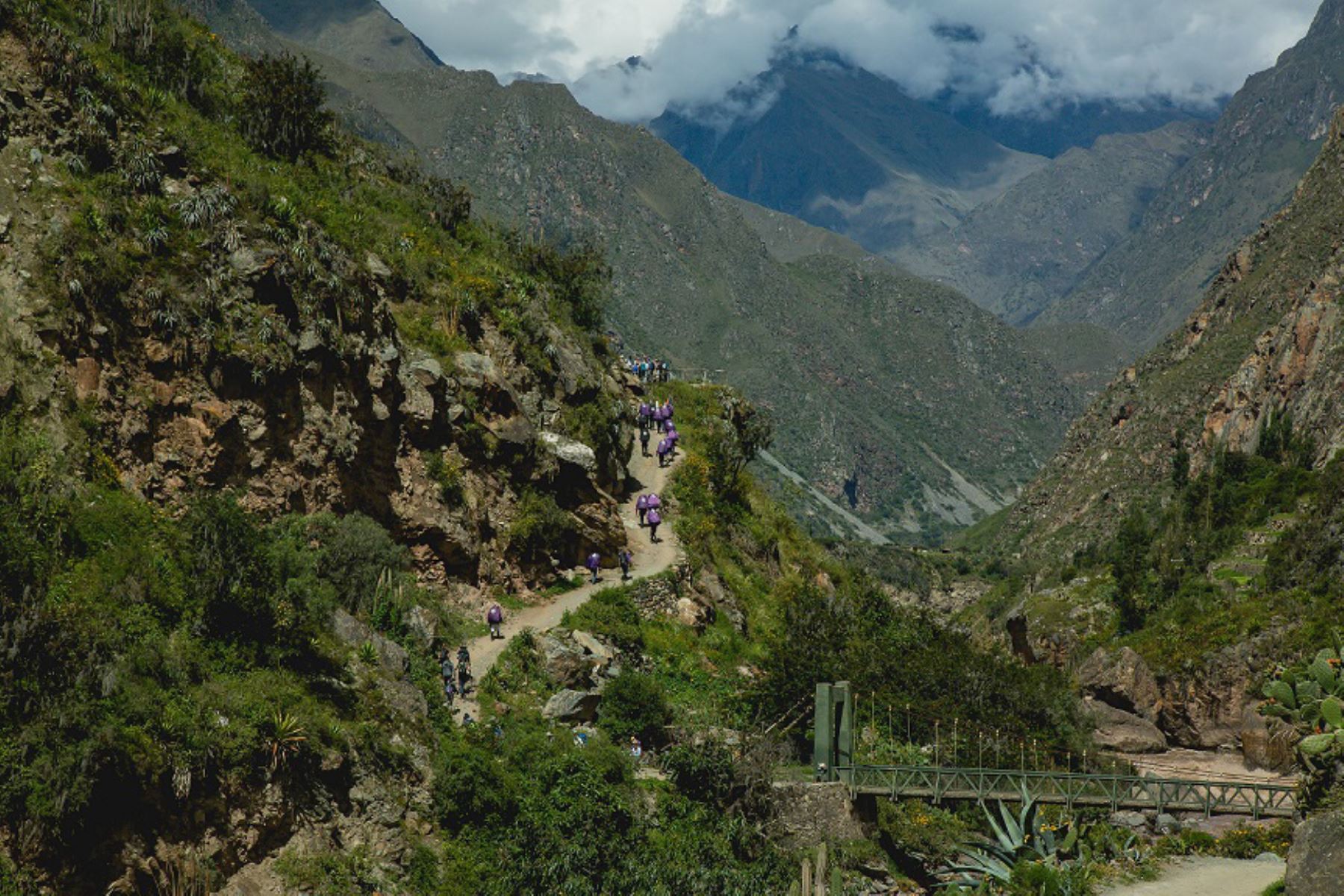 El Servicio Nacional de Áreas Naturales Protegidas por el Estado (Sernanp), organismo adscrito al Ministerio del Ambiente (Minam), reabrió desde hoy la Red de Caminos Inca en el Santuario Histórico de Machupicchu, en la región Cusco, luego de haberse concluido los trabajos de mantenimiento ejecutados desde febrero.ANDINA/Difusión