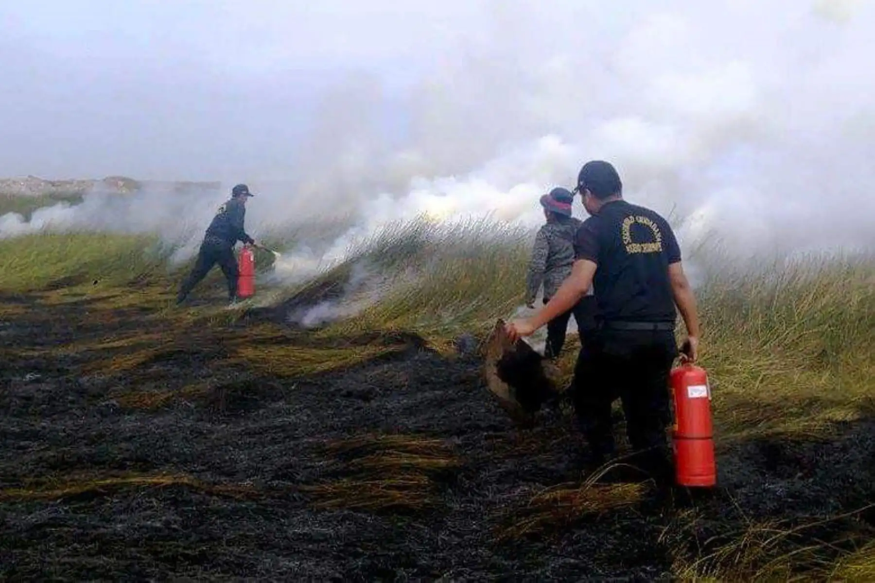 Controlan incendio forestal en pantanos de Villa María en Chimbote, Áncash. ANDINA