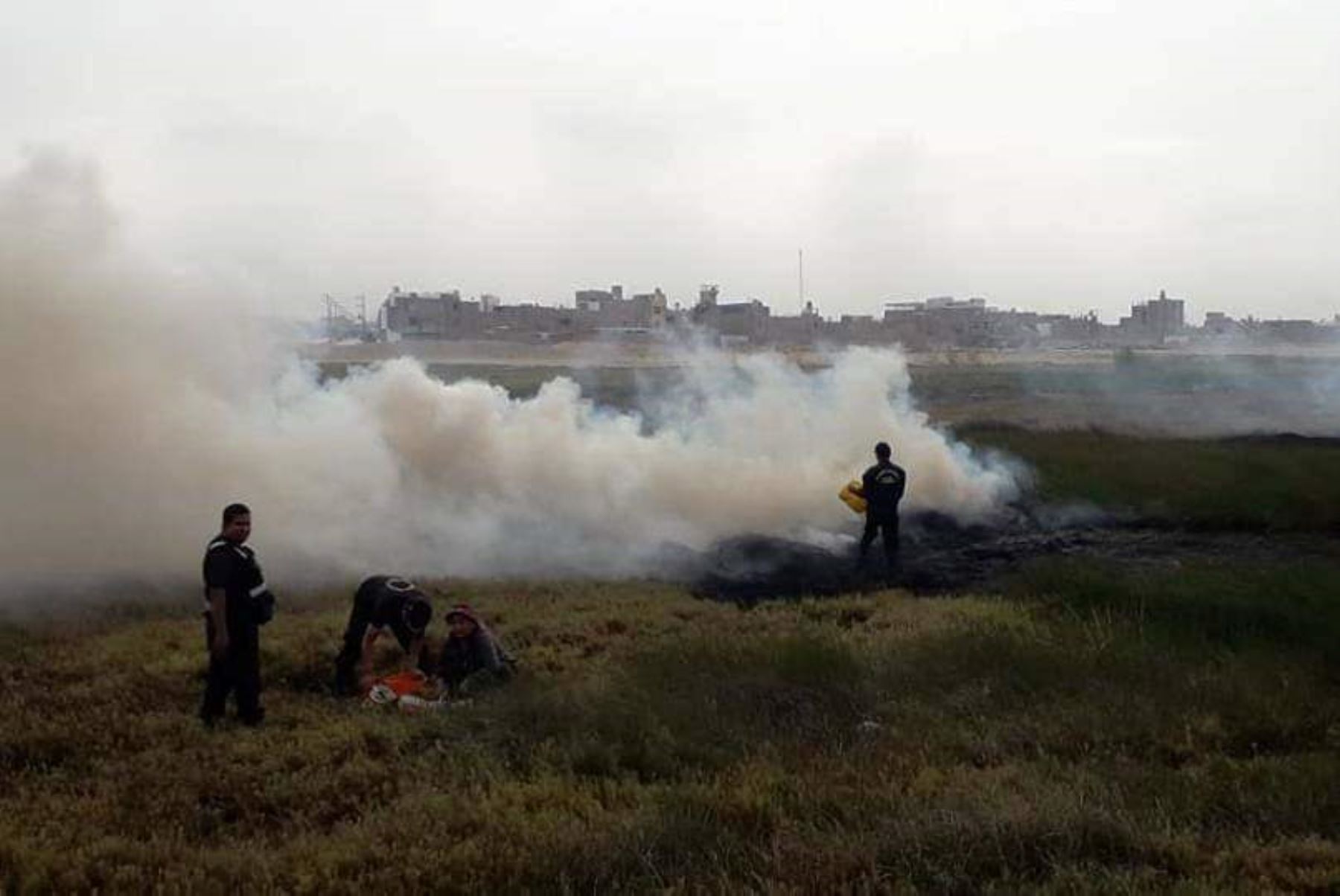 Brigadas del Ejército se suman a lucha contra incendio forestal en Áncash.Foto:  ANDINA/Archivo