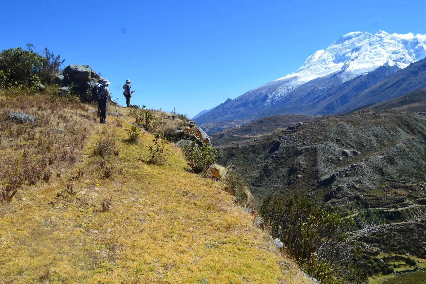 Investigadores del Ingemmet desarrollaron estudios de geomorfología para reconstruir cómo eran los glaciares del pasado. ANDINA/Ingemmet