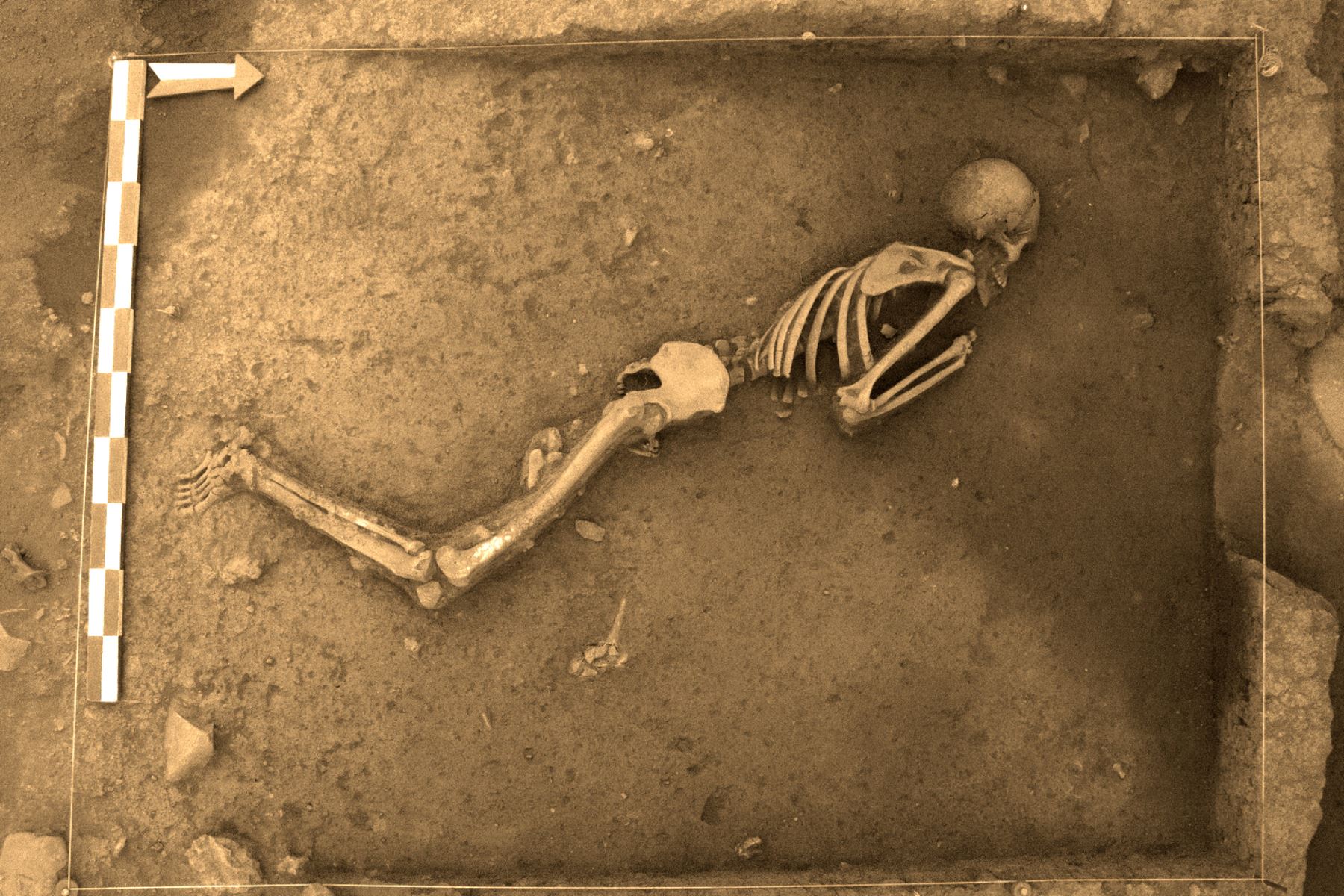 Dos entierros humanos que datan de hace 3 mil años fueron hallados recientemente por especialistas de la Dirección Desconcentrada de Cultura de Cusco (DDCC) en la zona arqueológica de Marcavalle, ubicado en el corazón de la ciudad del Cusco.
Foto: ANDINA/Percy Hurtado Santillán