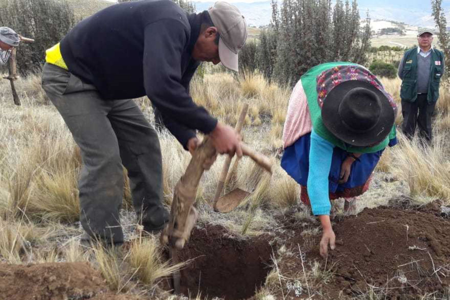 Pobladores altoandinos realizan acciones de prevención ante cambio climático en Huancavelica.