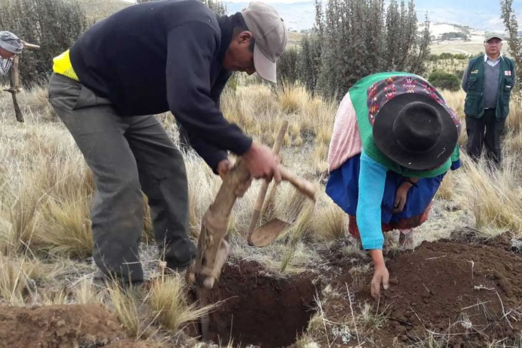 Pobladores altoandinos realizan acciones de prevención ante cambio climático en Huancavelica.