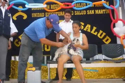 Este sábado 27 y domingo 28 habrá campaña gratuita de vacunación antirrábica de canes en la región San Martín.