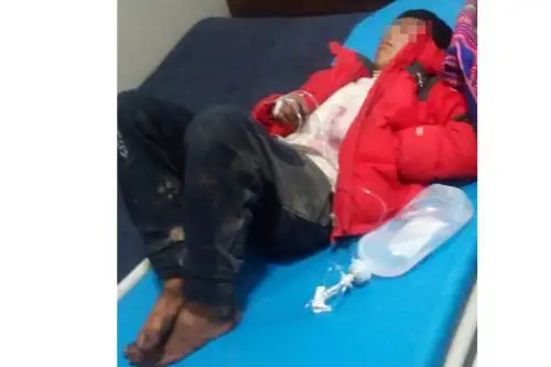 Niños se recuperan después de intoxicarse por consumir hierba silvestre. ANDINA/Difusión