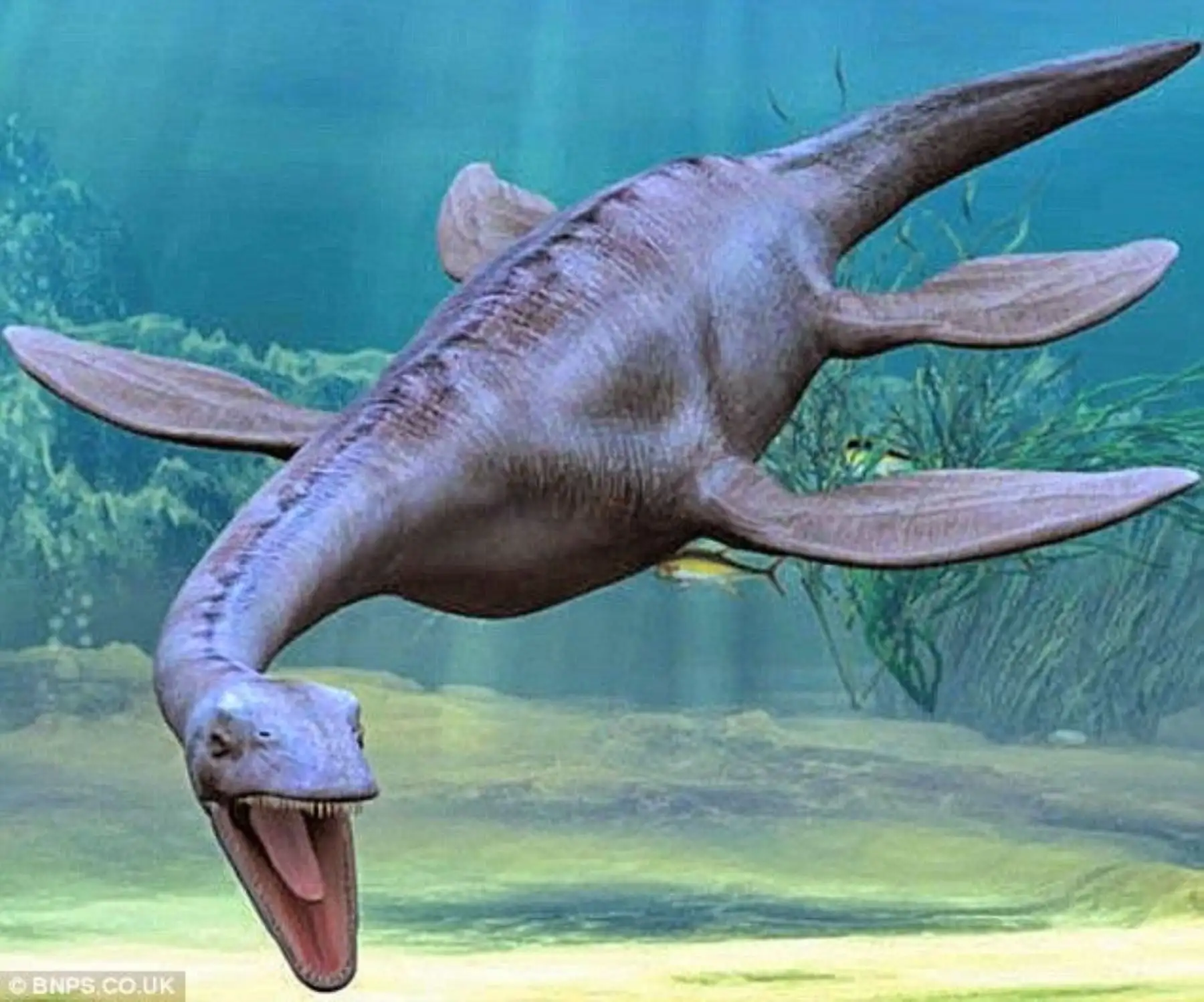 Fósiles se exhibirán en interesante muestra.