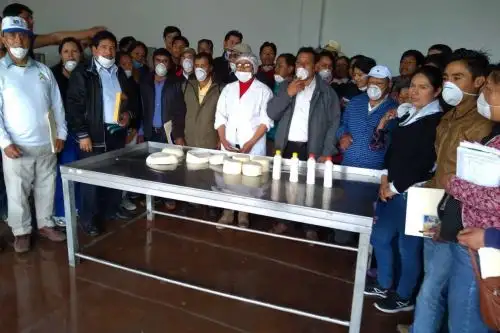 INIA capacita a pequeños ganaderos de región Lima en elaboración de derivados lácteos