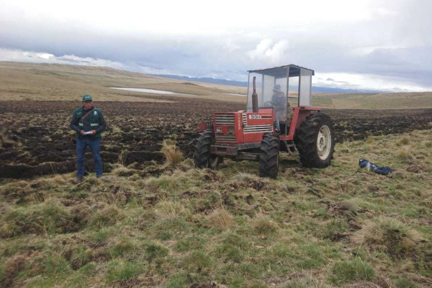 Pasco: Minagri prepara productores para la siembra de 3,885 hectáreas de pastos