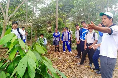 Devida y Serfor se unen para prevenir la deforestación en el Vraem