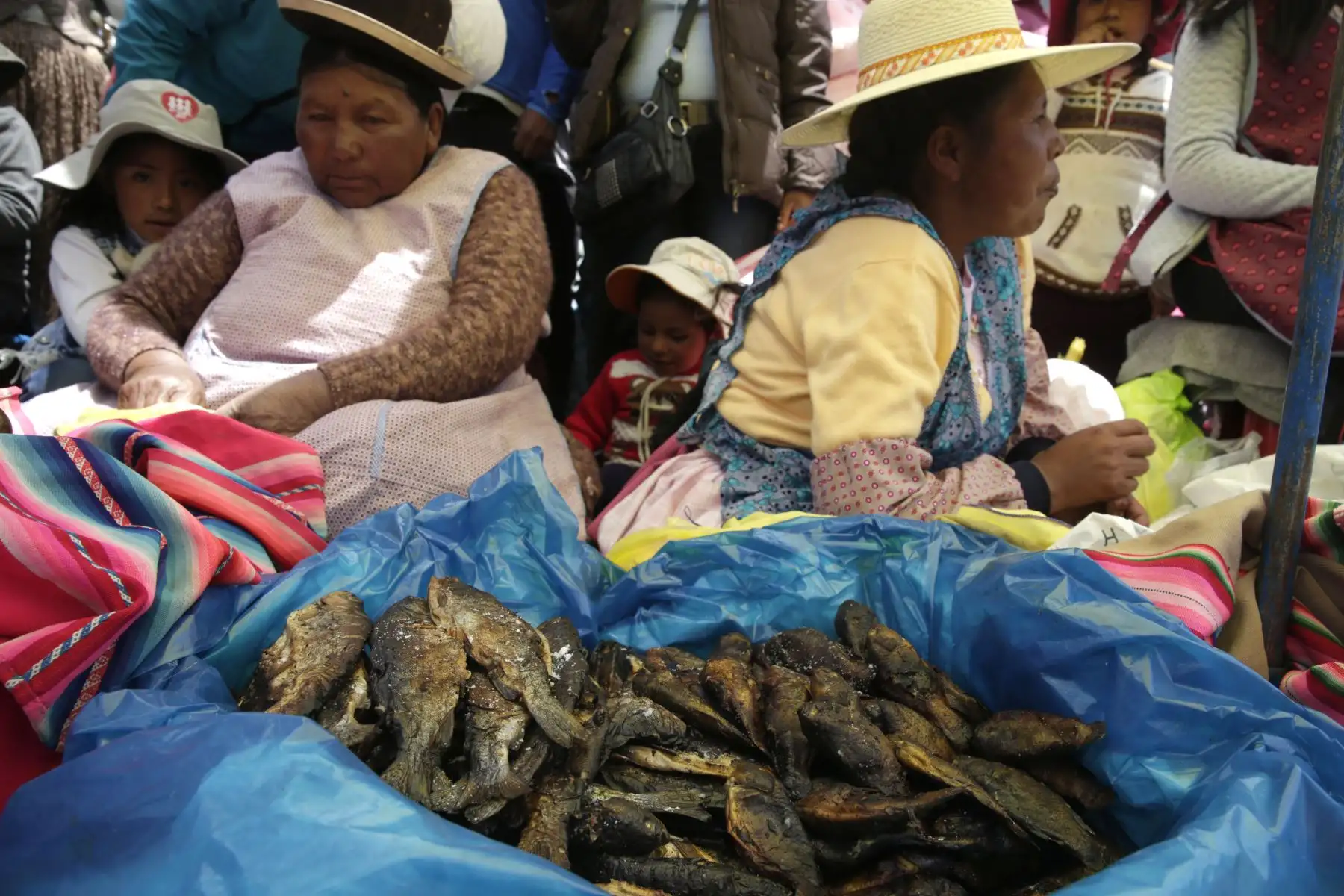 Comerciantes venden el Chaulla, pescado seco al sol y fritos en piedras calientes que se acompañan con chuño, papa y ají. Foto: ANDINA/Melina Mejía