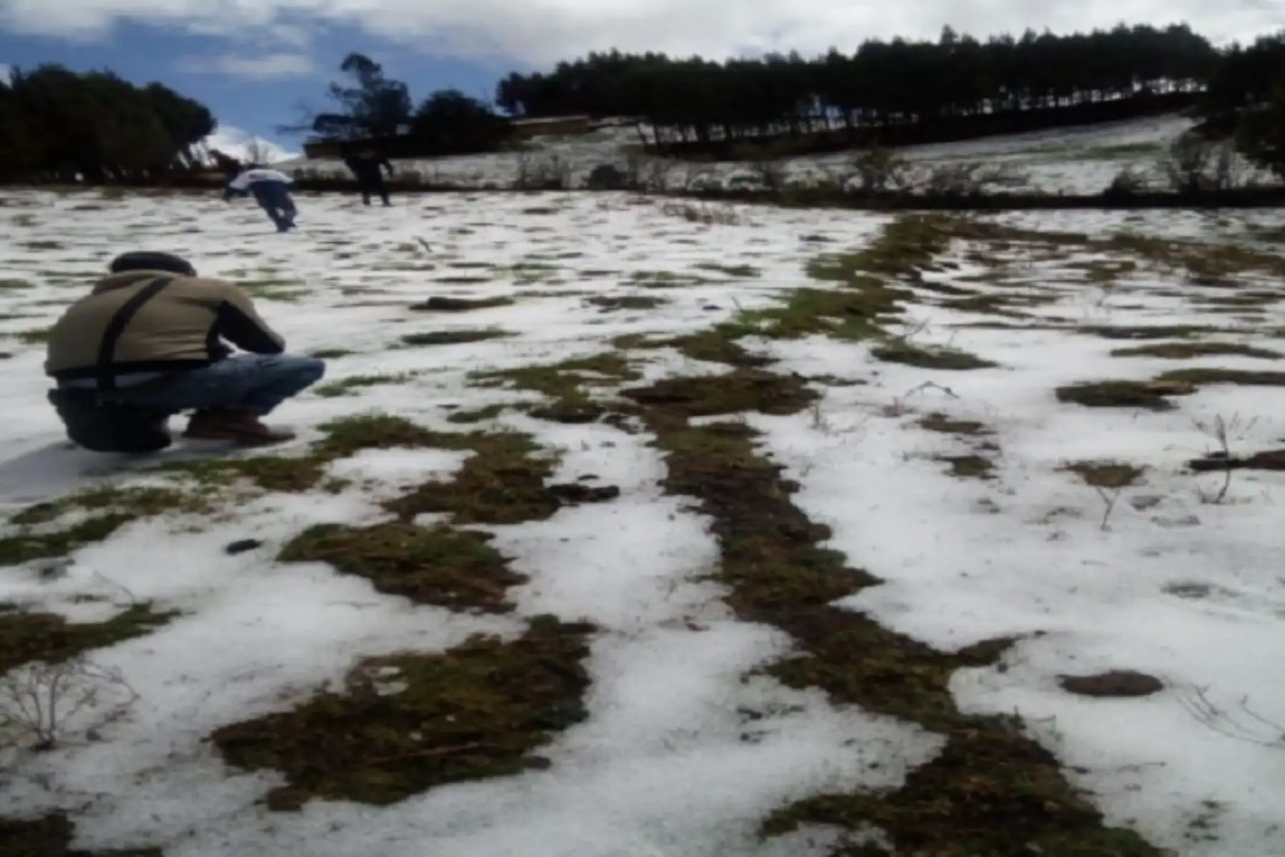 Debido a una intensa granizada colapsaron dos viviendas en el centro poblado de Chaccho, distrito de Chaccho, provincia ancashina de Antonio Raymondi, quedando 6 personas damnificadas, informó el Instituto Nacional de Defensa Civil (Indeci)ANDINA/Difusión