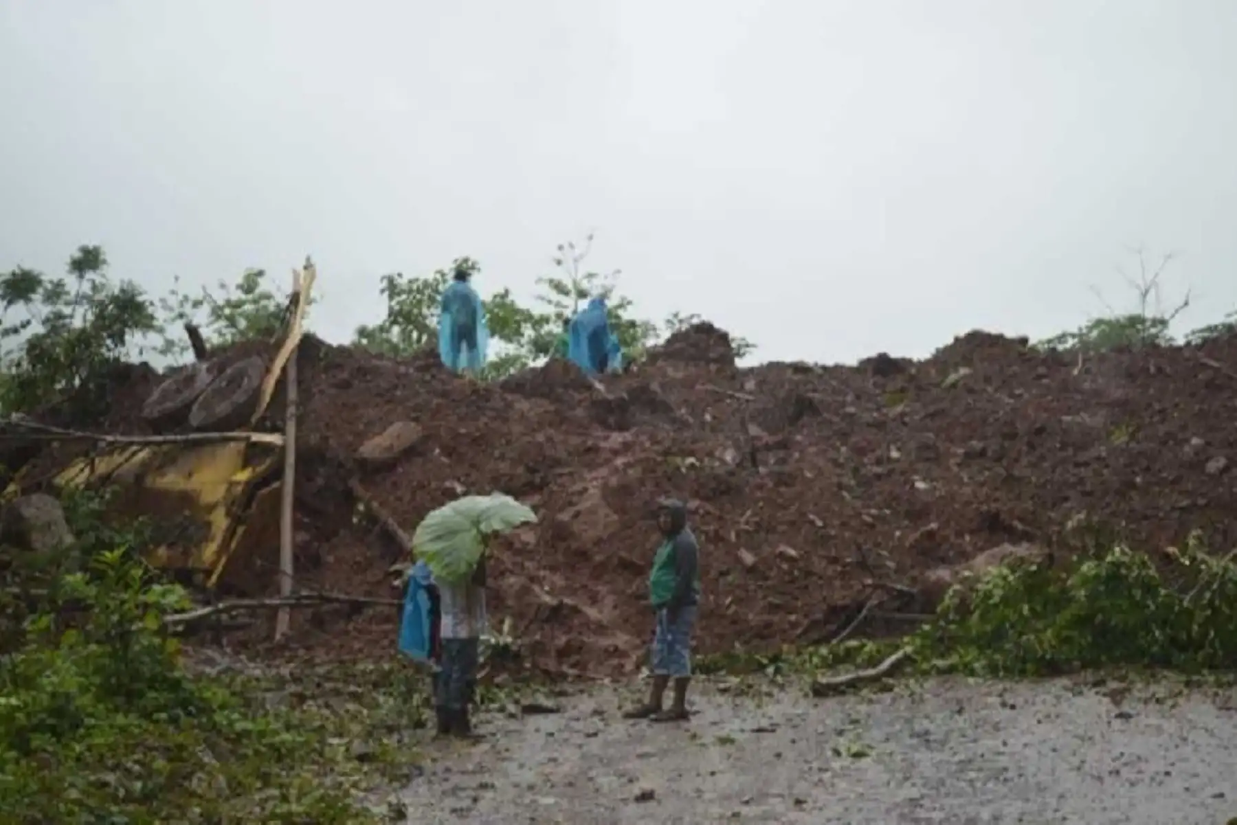 Personal de la empresa Consorcio Selva Central recuperó los cuerpos de las dos personas desaparecidas el último 7 de noviembre, tras el deslizamiento de tierra y rocas ocurrido en el distrito de Codo de Pozuzo, provincia de Puerto Inca, en Huánuco, informó la Dirección Desconcentrada del Instituto Nacional de Defensa Civil (Indeci). ANDINA/Difusión