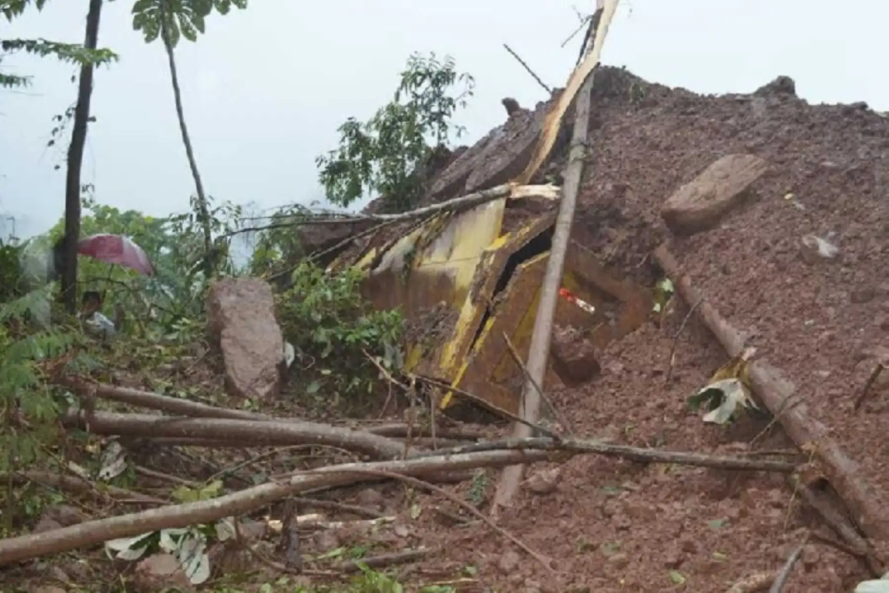 La caída de un huaico en el distrito de Codo del Pozuzo, en el límite de las provincias de Puerto Inca y Oxapampa, dejó el saldo de un muerto, dos heridos y dos desaparecidos, informaron fuentes locales.