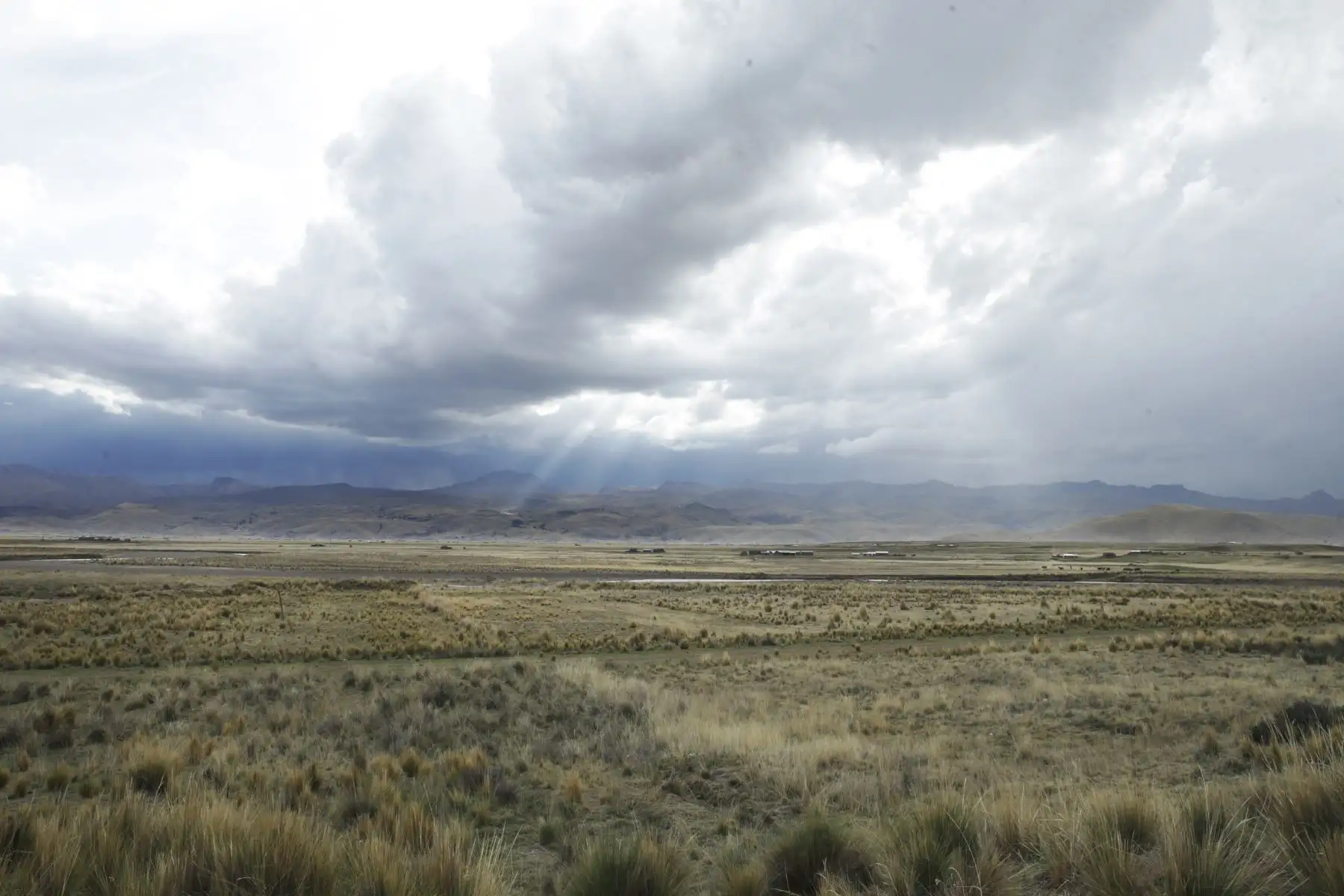 La ciudad de Lampa se ubica a 3,927 metros sobre el nivel del mar, en la zona del Altiplano, en Puno.  Foto: ANDINA/Melina Mejía