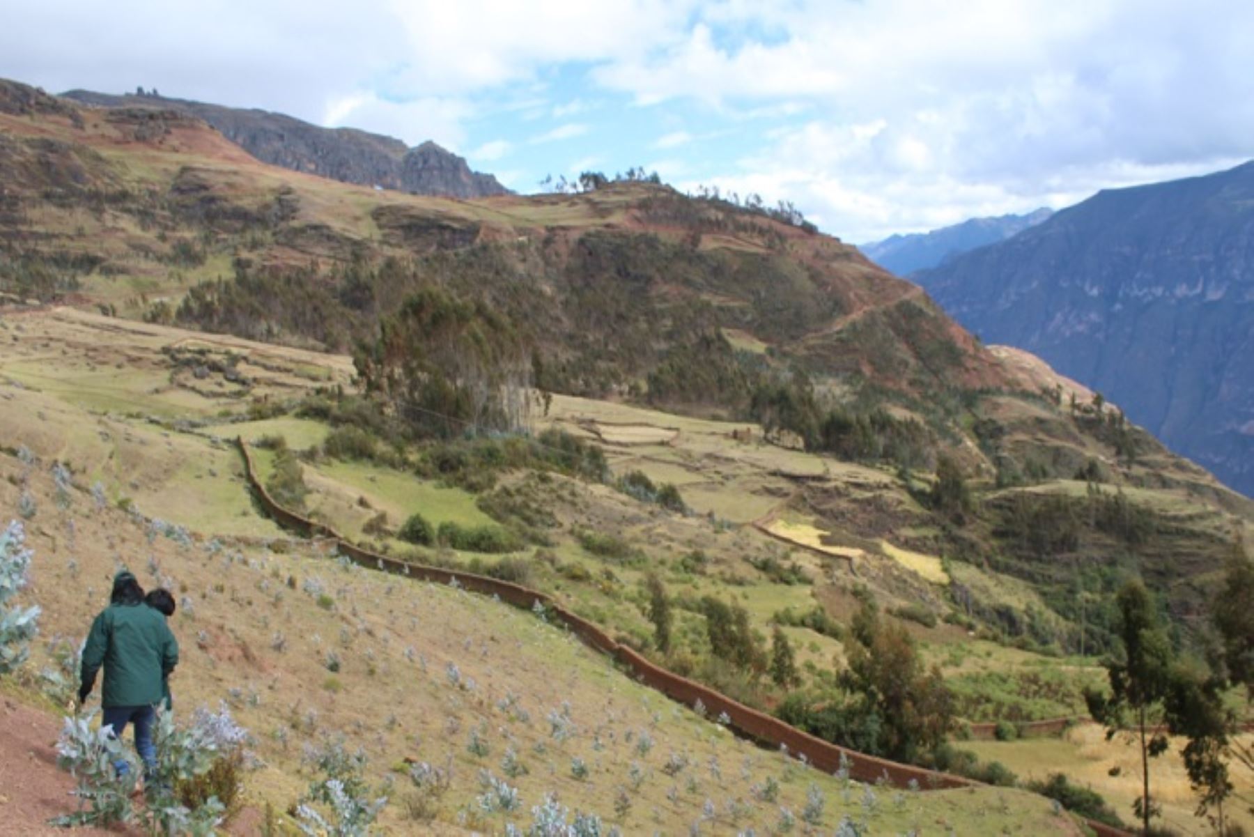 Luego de tres años y medio de ejecución, a través de Agro Rural, el Ministerio de Agricultura y Riego (Minagri), anunció la pronta culminación del proyecto “Forestación y Reforestación para Cobertura y Protección de Suelos en los centros poblados de la provincia de Huari, región Ancash”.