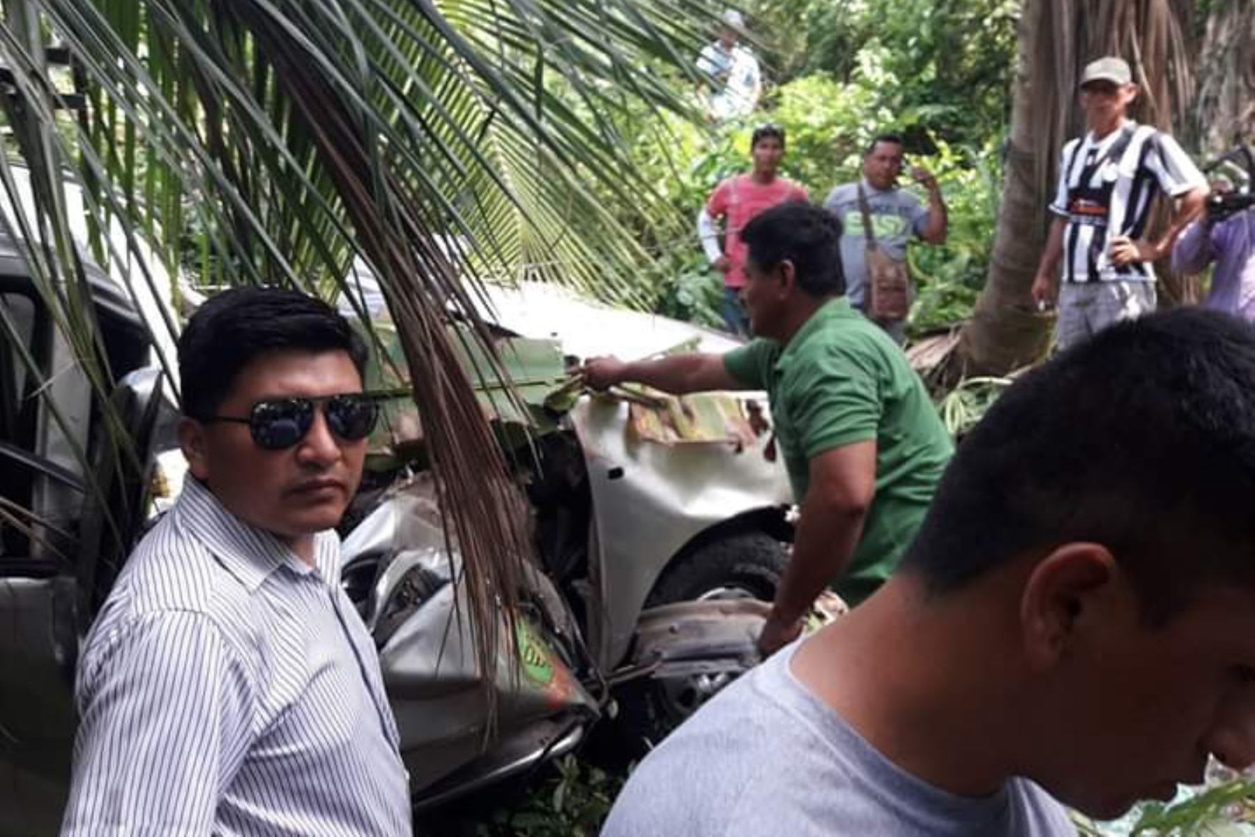 Árbol cae sobre un automóvil y deja tres fallecidos en San Martín. ANDINA