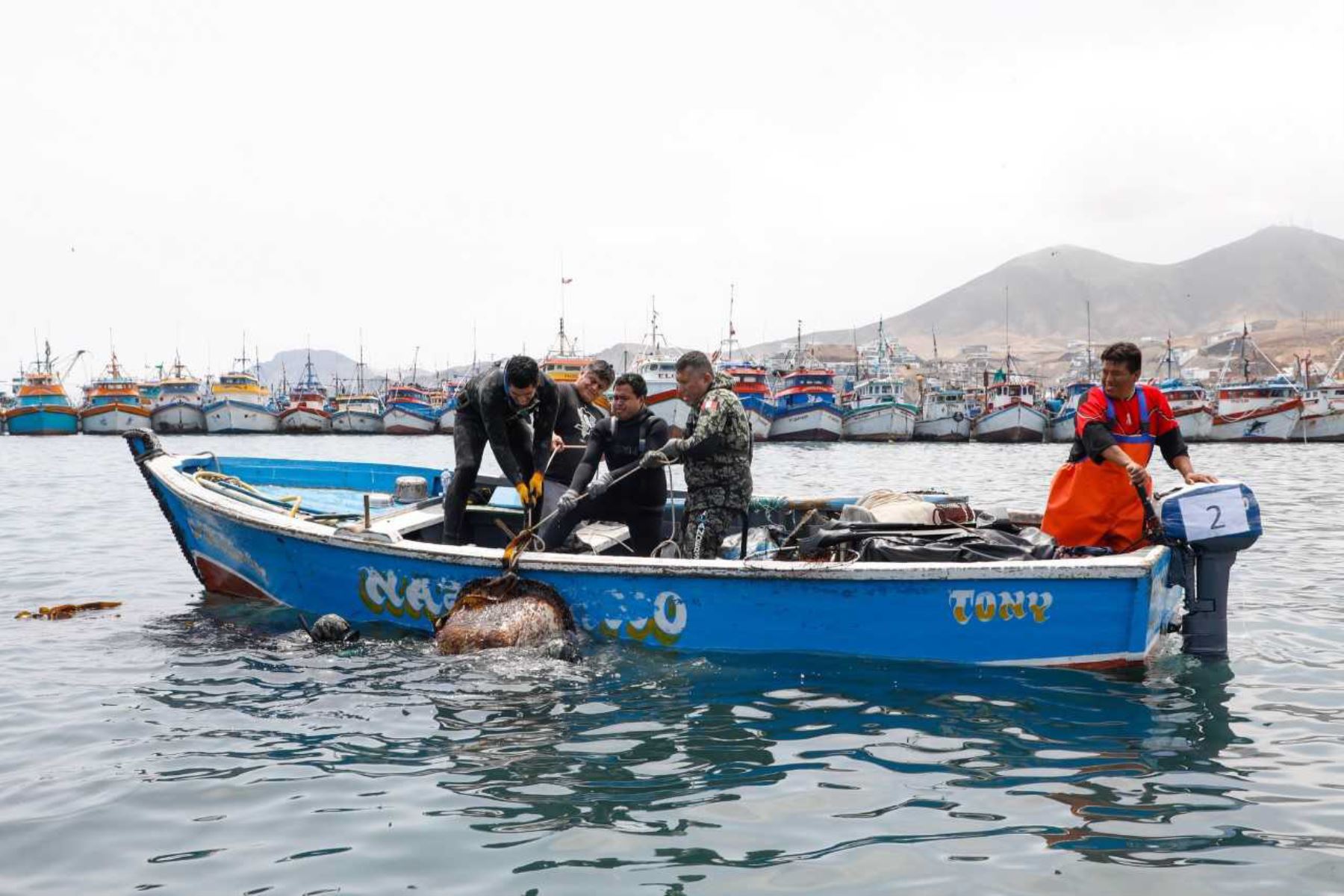 Arequipa: Ministerio de la Producción ejecutará limpieza de fondo marino mañana