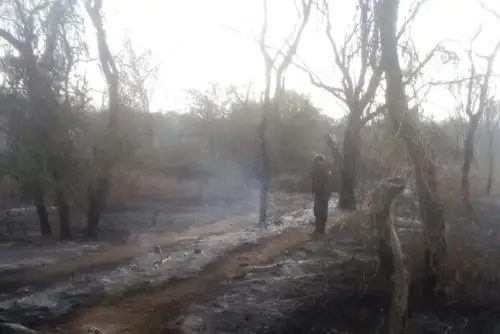 Bomberos y personal de serenazgo luchan para controlar incendio forestal en el caserío Humedales del distrito de Motupe, región Lambayeque.