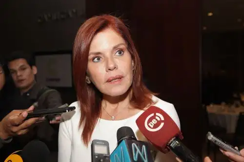 ANDINA/Héctor Vinces