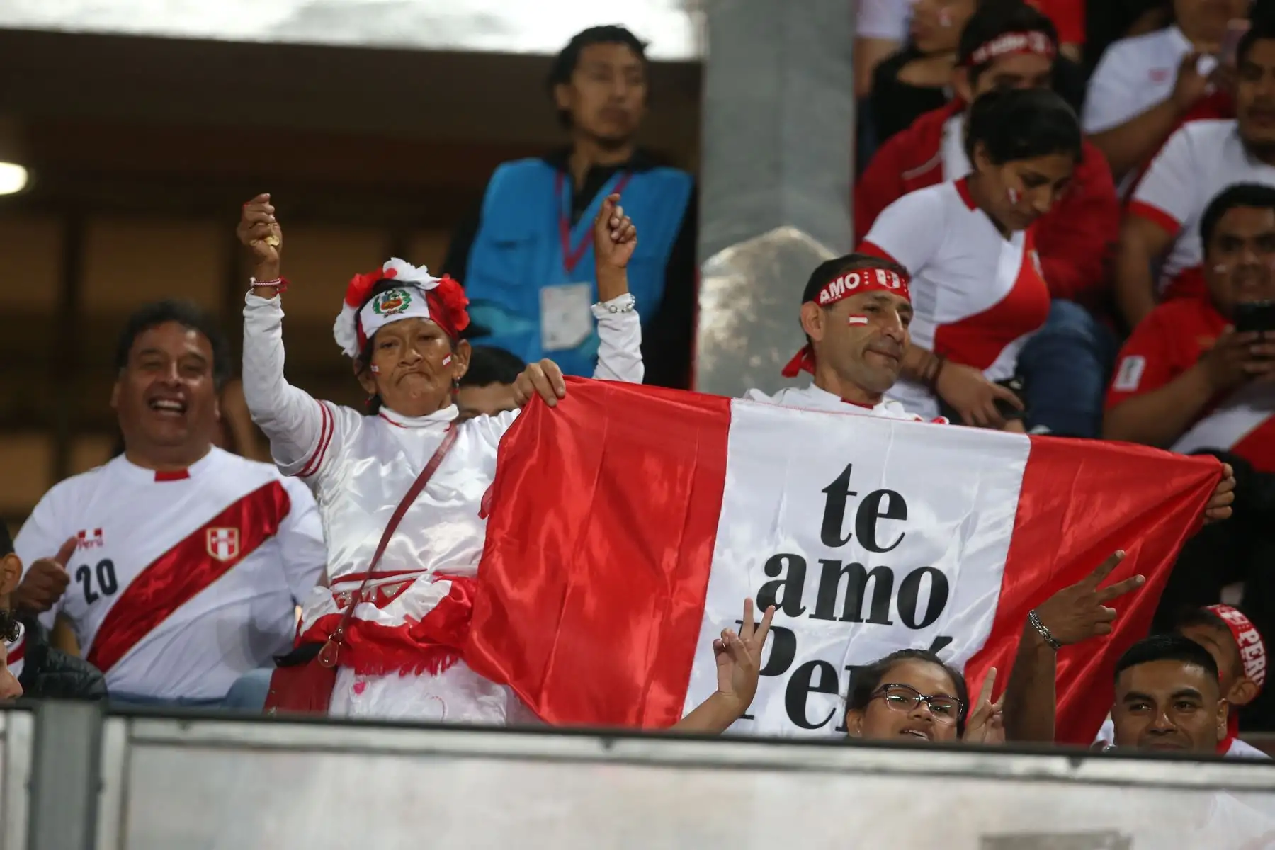 Hinchas peruanos en el partido Perú contra Ecuador. Foto: ANDINA/Vidal Tarqui