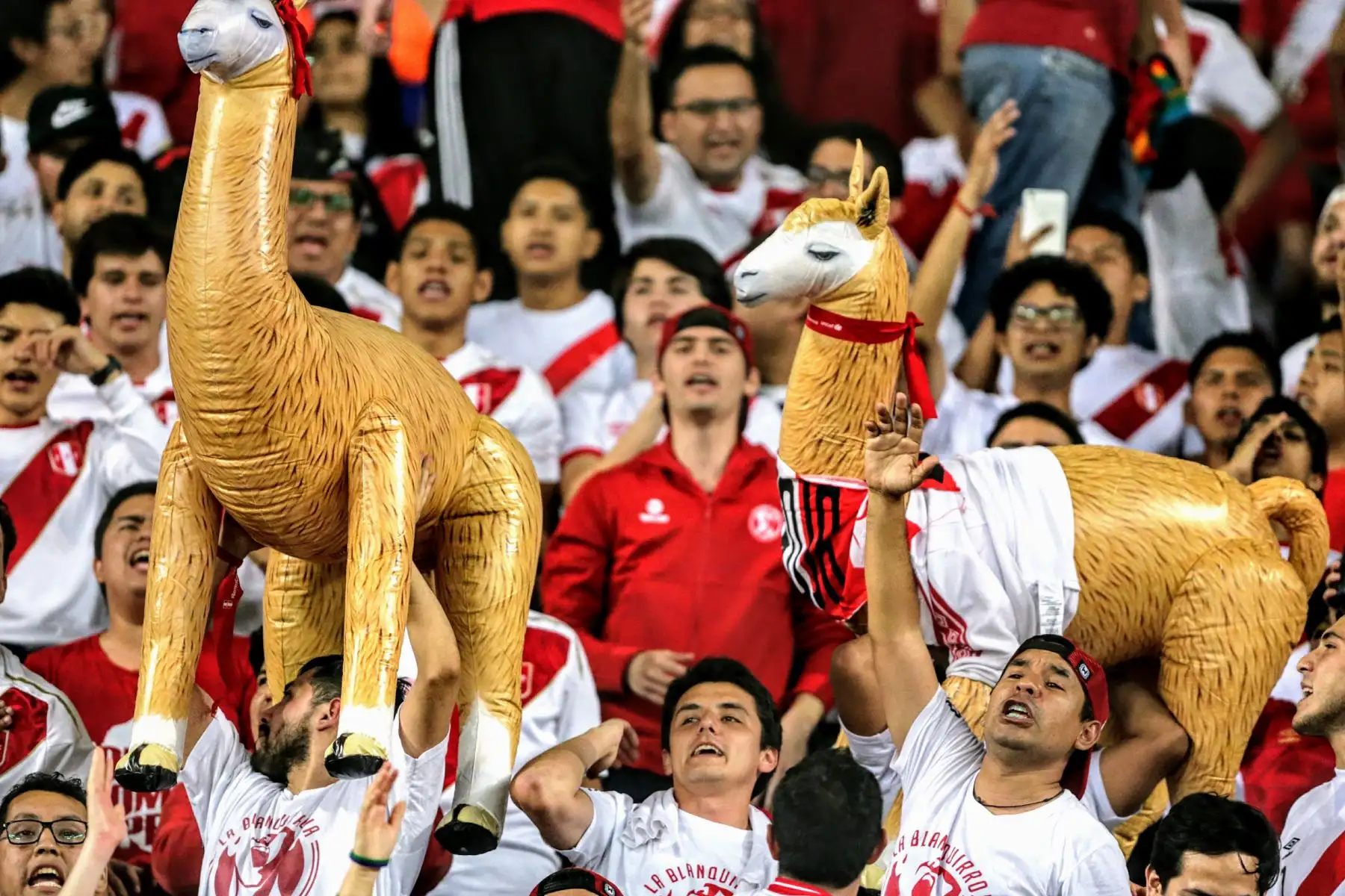 La hinchada peruana, catalogada como la mejor del mundo, aguarda en las graderías del Estadio Nacional, el inicio del partido de nuestra selección contra su similar ecuatoriano. Foto: ANDINA/Luis Iparraguirre