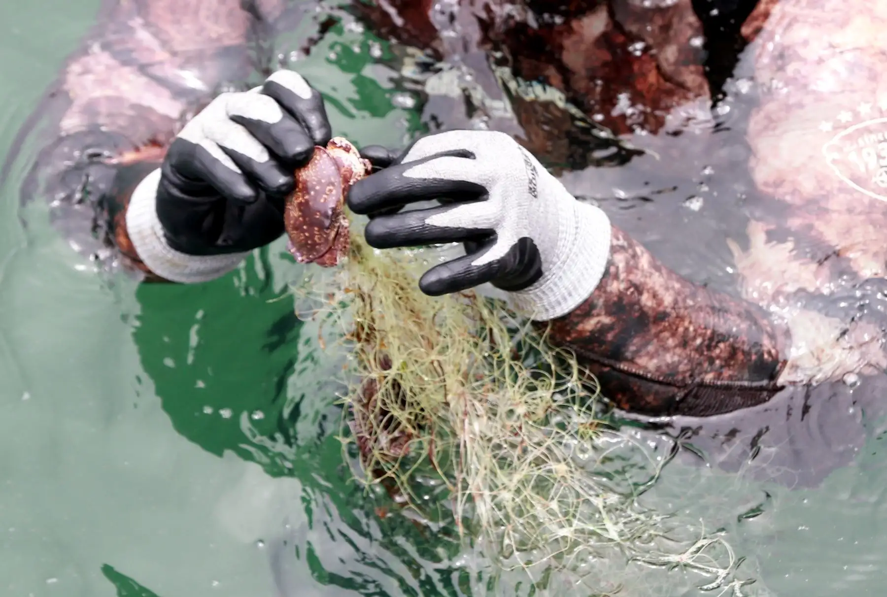 El ministro de la Producción, Raúl Pérez Reyes, y el viceministro de Pesca y Acuicultura, Javier Atkins, liderarán la campaña “Mi Mar, Mi Hogar", jornada de limpieza de fondo de mar en el Desembarcadero Pesquero Artesanal (DPA) Chorrillos.Foto: ANDINA/Norman Córdova