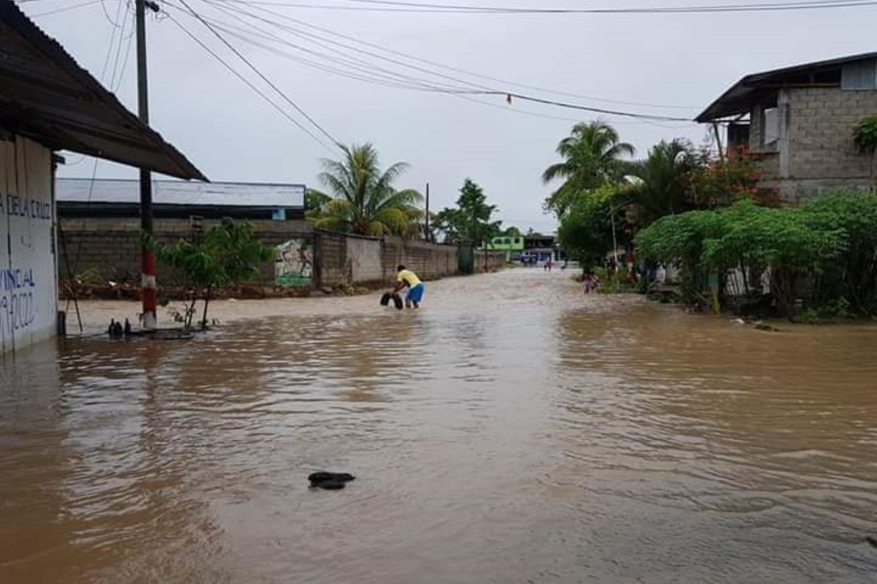 El desborde del río Chayhuallacu provocó una inundación en el distrito de Pólvora, región San Martín.