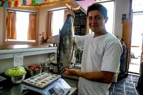 Venta directa de pescado de acuicultores y pescadores artesanales crece en 1,130 %.