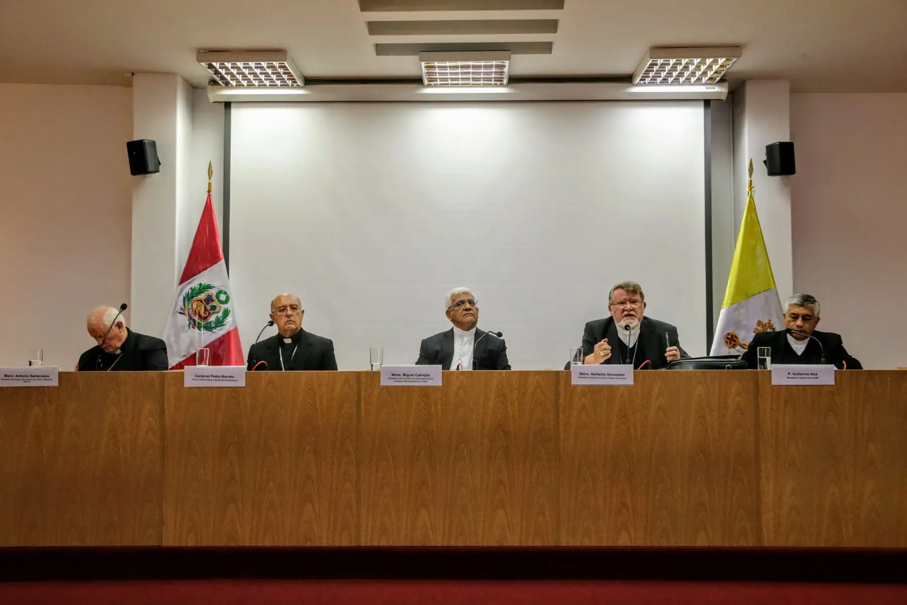 ANDINA/Luis Iparraguirre