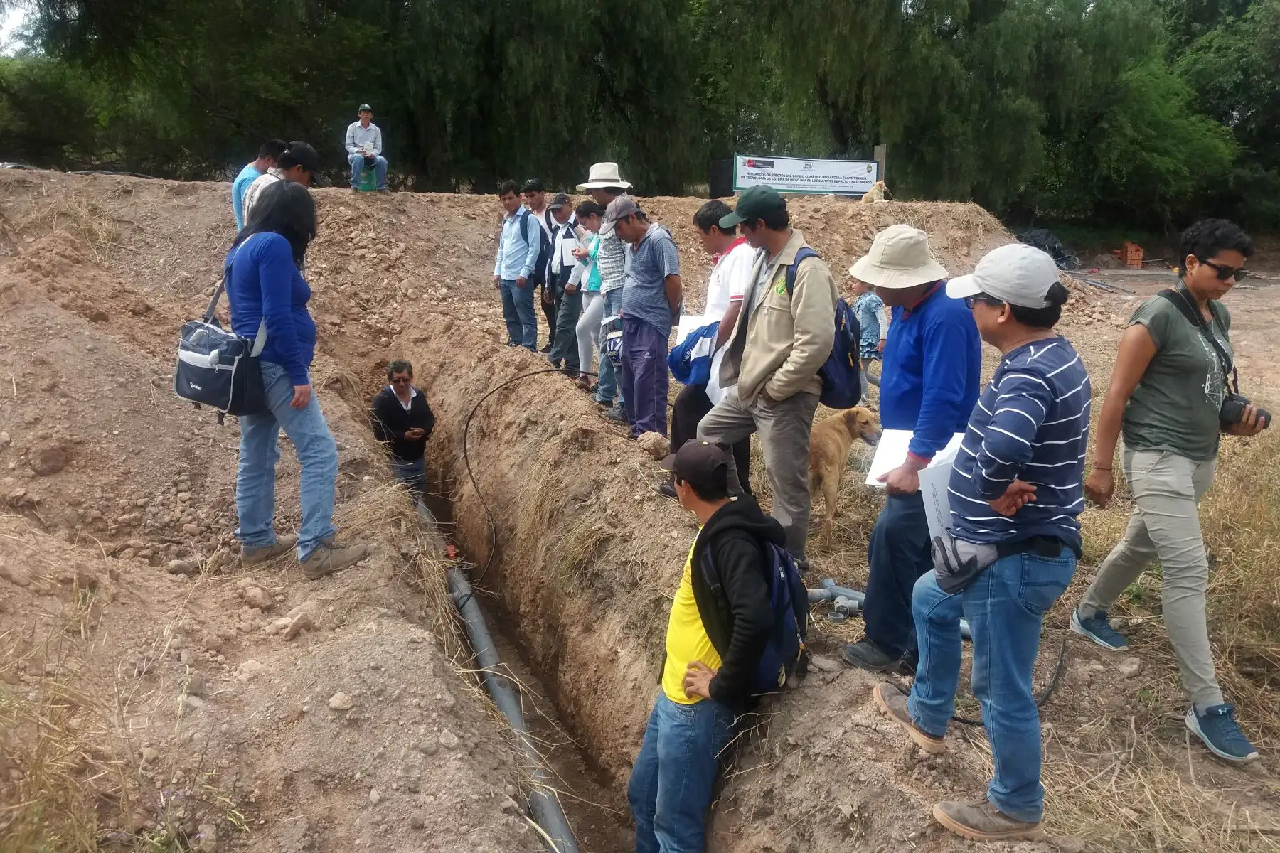 Especialistas del INIA capacita a productores para mitigar efectos del cambio climático en cultivos. ANDINA/Difusión