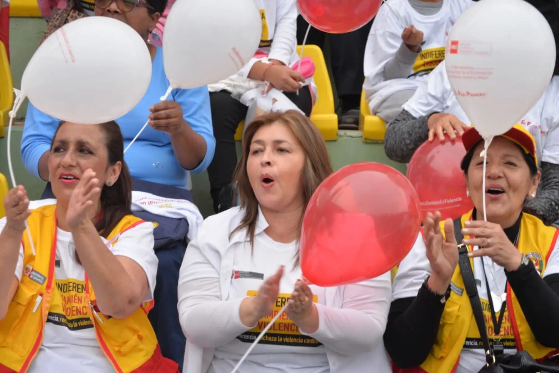 ANDINA/Difusión