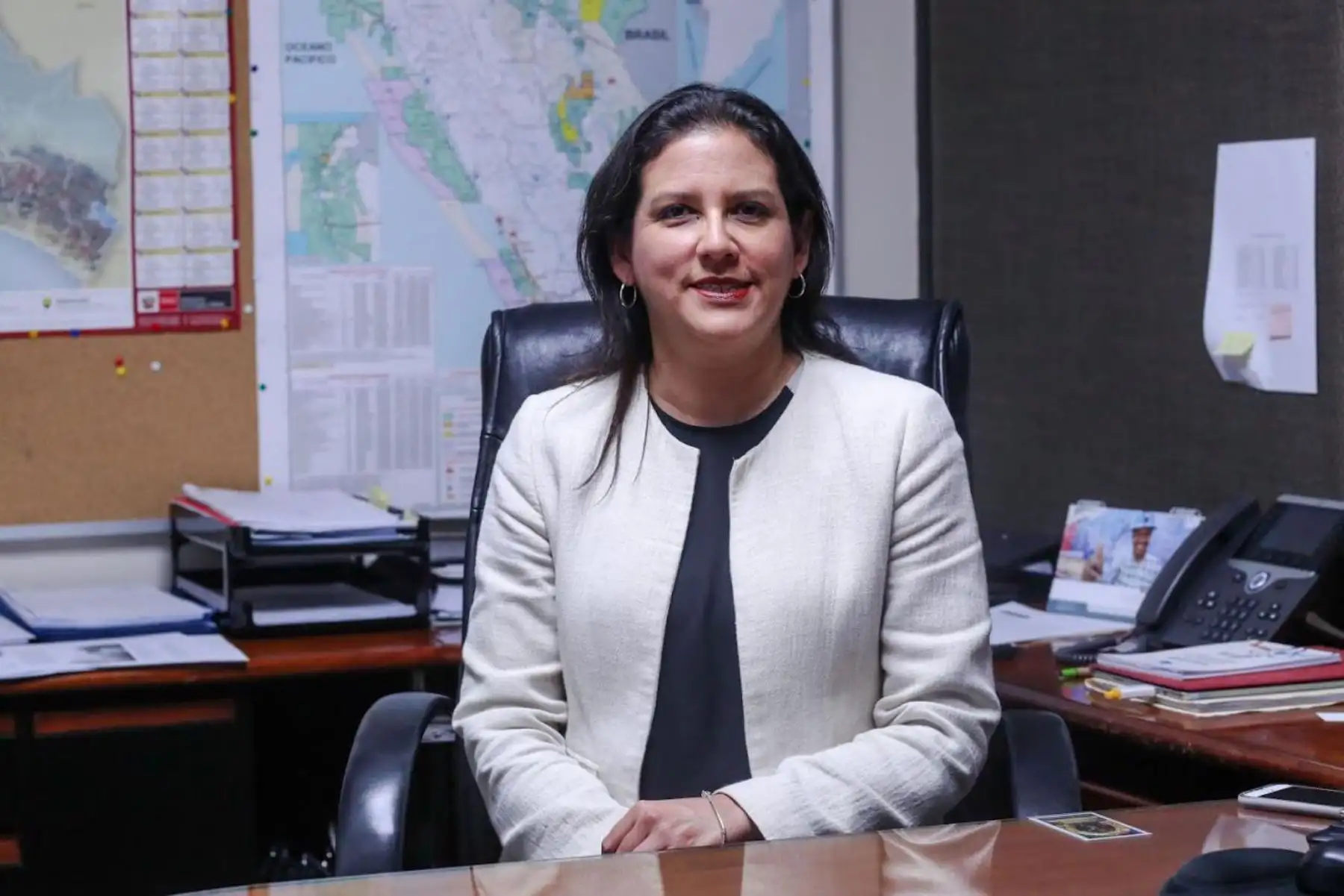 Viceministra de Electricidad, Patricia Elliot. ANDINA/Difusión