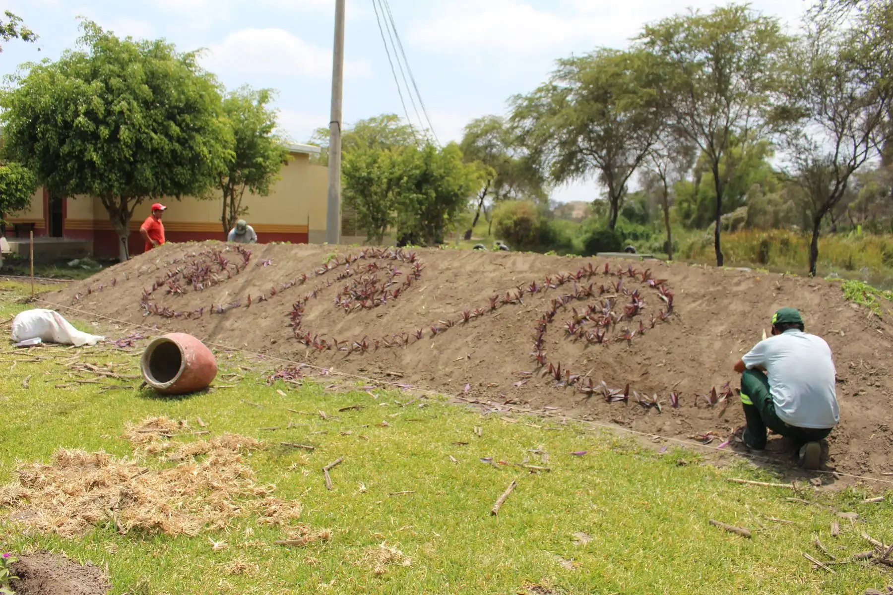 Embellecen con diseños prehispánicos del norte peruano las áreas verdes del Museo Huaca Rajada-Sipán, ubicado en el distrito chiclayano de Zaña.