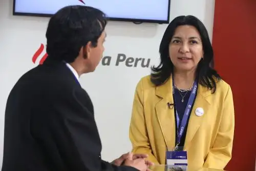 Economista Ana Reátegui. ANDINA/Jack Ramón