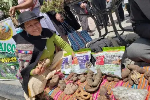 Más de S/1.6 millones serán destinados al cofinanciamiento de iniciativas rurales de emprendimiento de 46 asociaciones de comunidades campesinas, organizaciones de mujeres y pequeños productores, con el objetivo de promover la actividad y generar mayor desarrollo económico y social en los diversos distritos de Huancavelica.